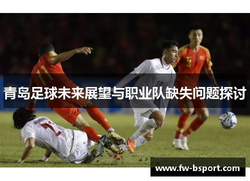 青岛足球未来展望与职业队缺失问题探讨