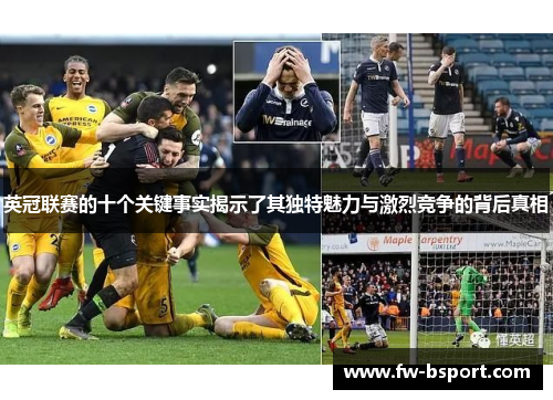 英冠联赛的十个关键事实揭示了其独特魅力与激烈竞争的背后真相