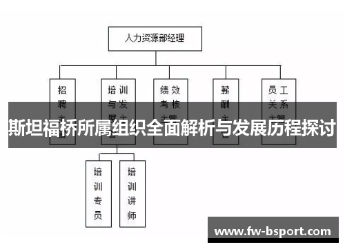 斯坦福桥所属组织全面解析与发展历程探讨