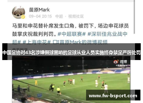 中国足协对43名涉嫌假球黑哨的足球从业人员实施终身禁足严厉处罚